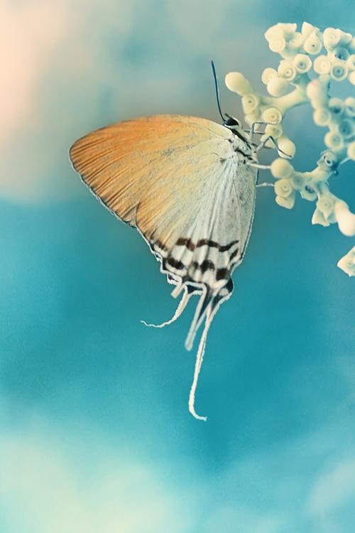 手机号码含有哪些数字磁场会使你压力巨大?